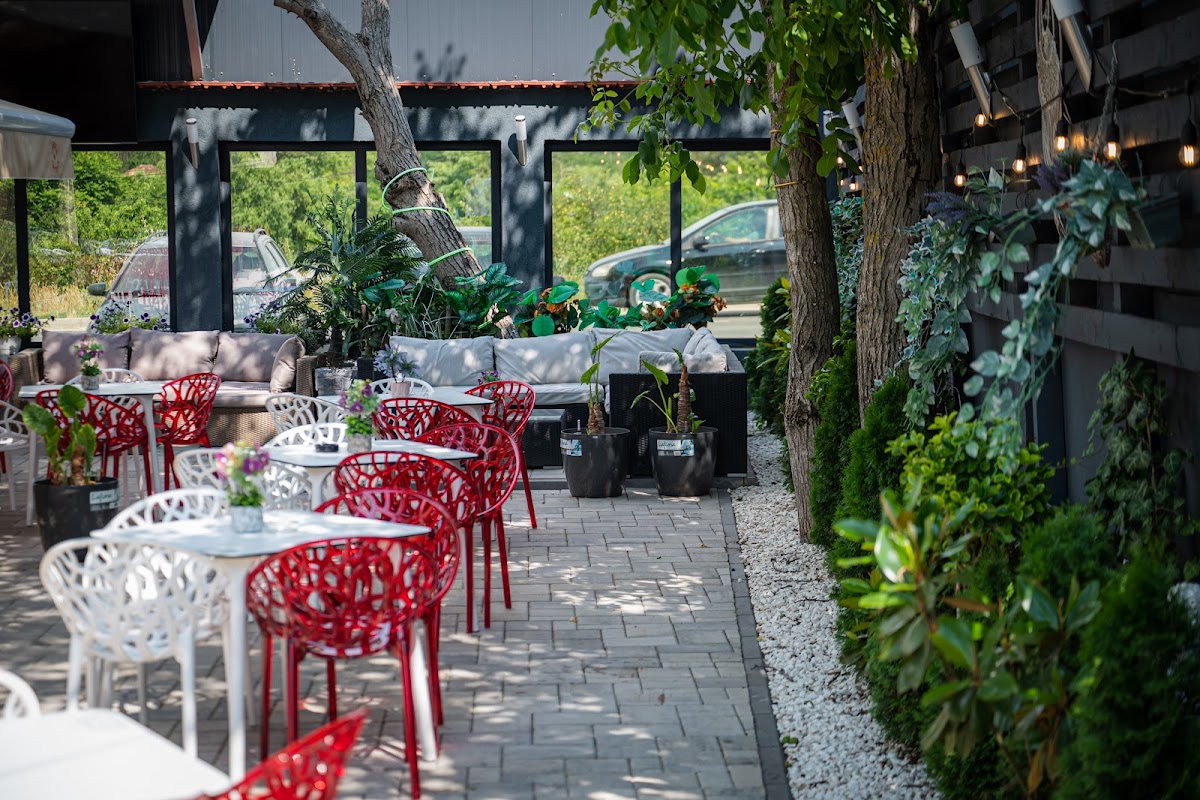 Green Garden - foto 1