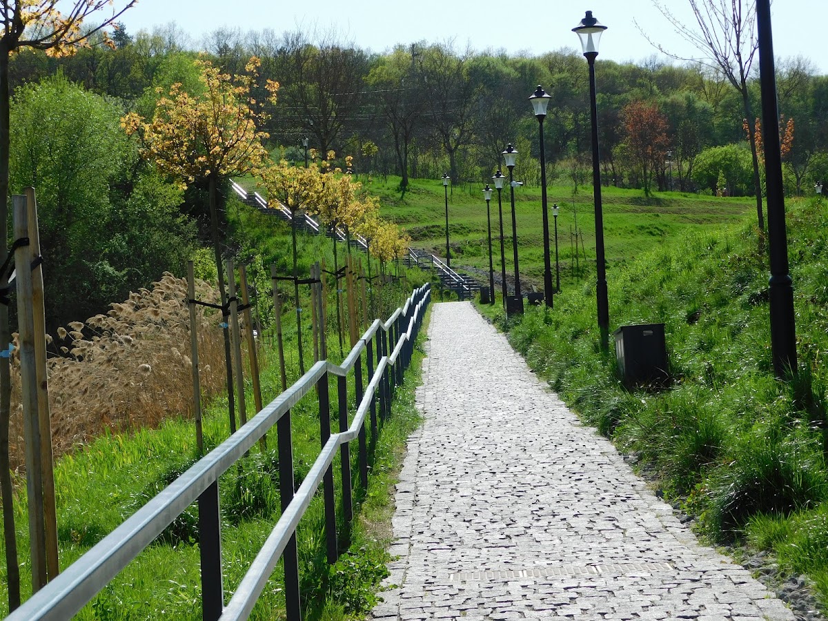 Green Park Substejeriș - foto 5