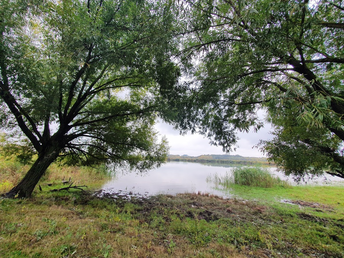 Gruia - Gârla Mare - foto 5