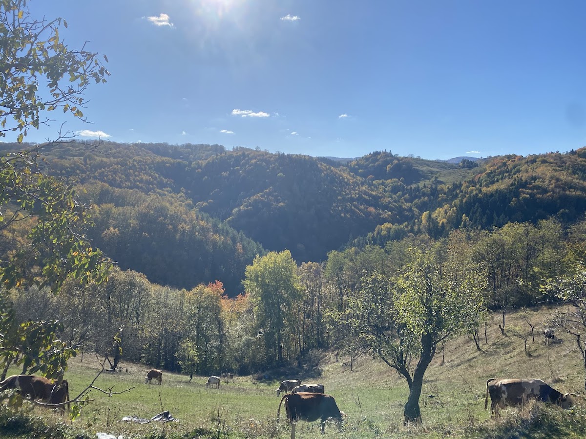 HaidaHai Glamping Resort