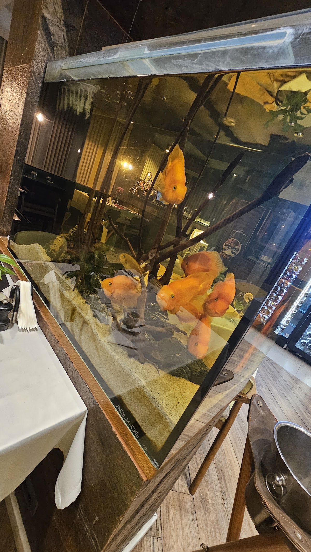 Hambar Bistro - Steak, Salads and Wine Bar - foto 5