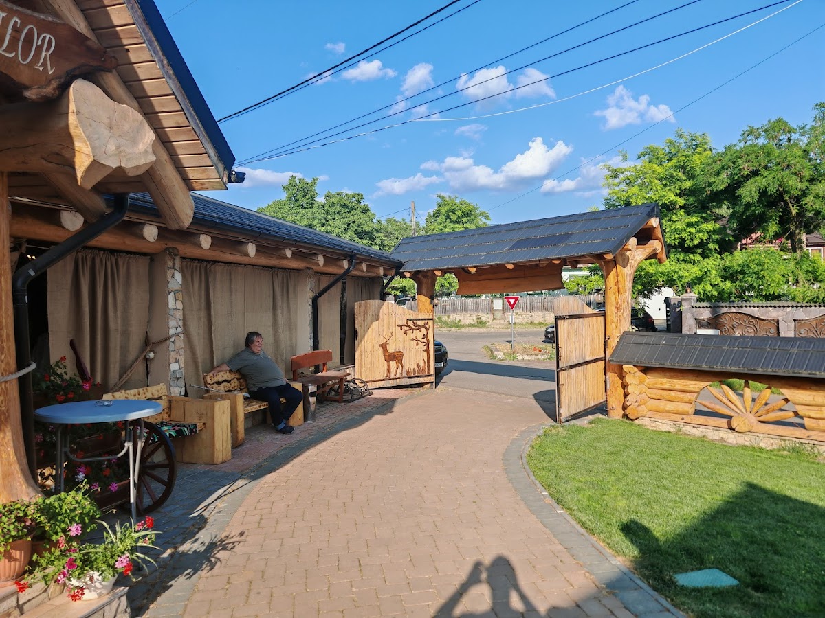 Hanul Boierilor Negresti - foto 5