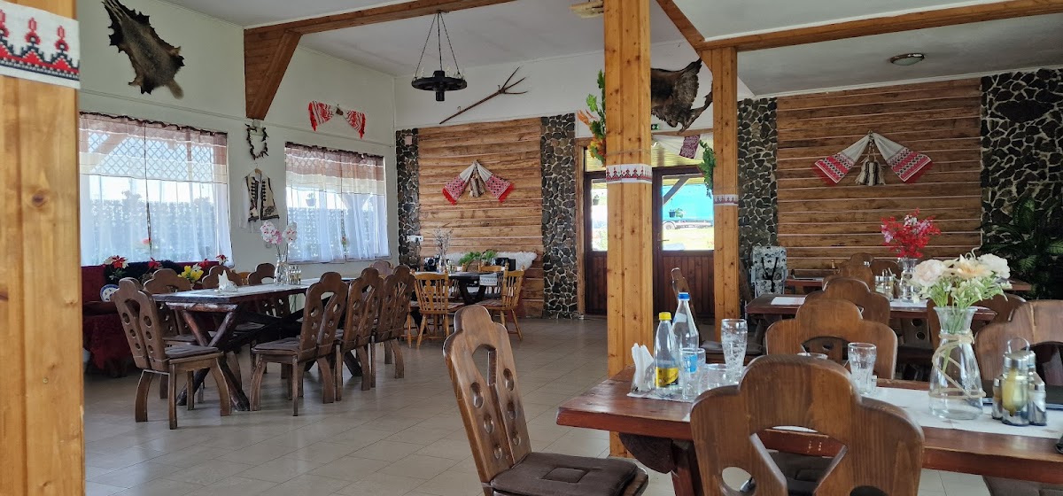 Hanul Dacic - foto 4