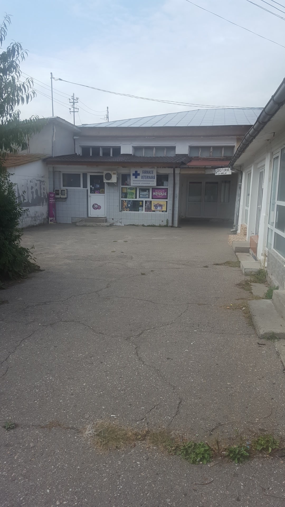 Hanul Pieței - foto 5