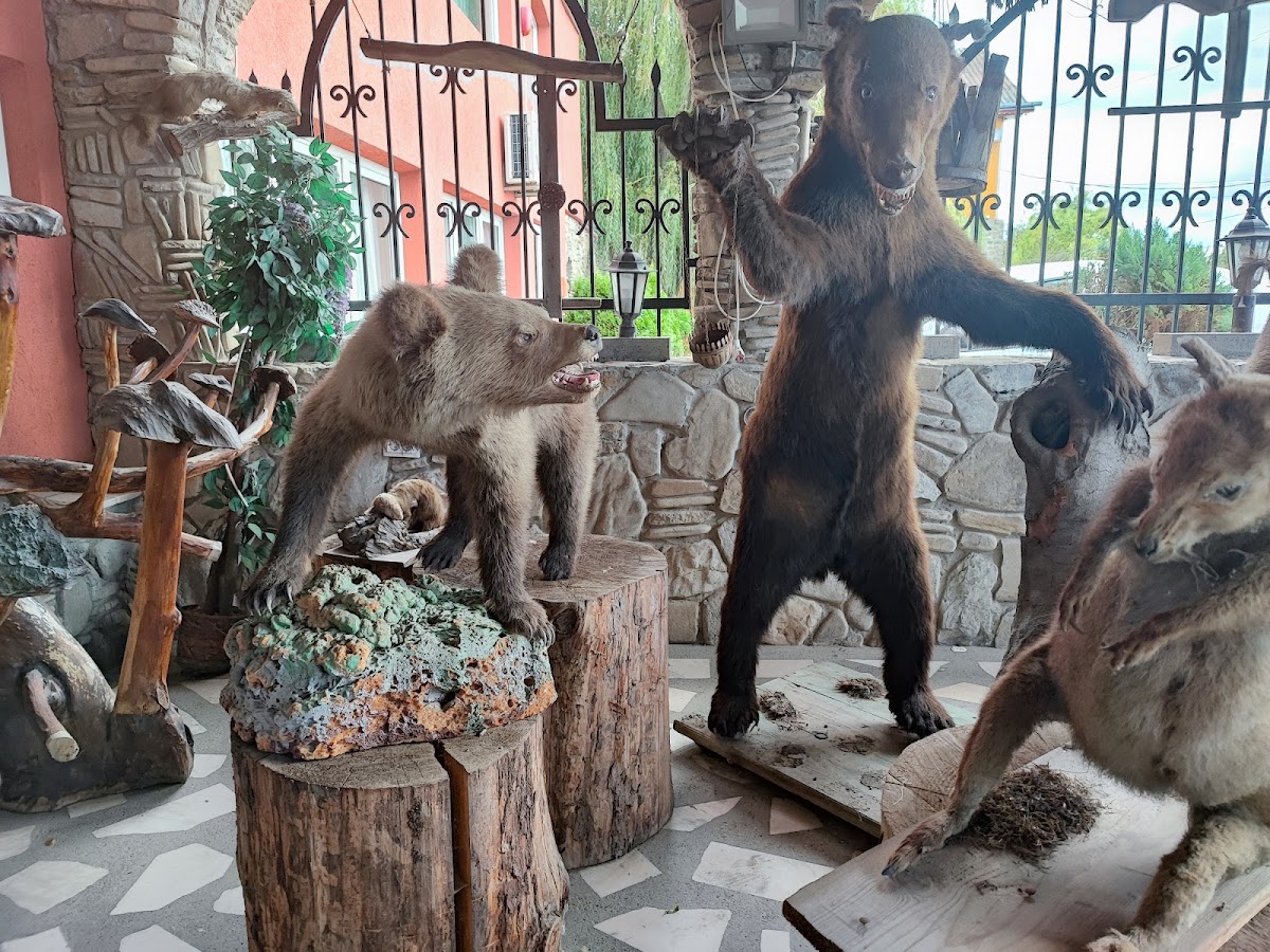 Hanul Urșilor - foto 4