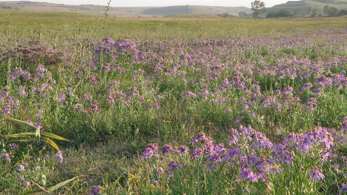 Canyon Hasag - foto 2