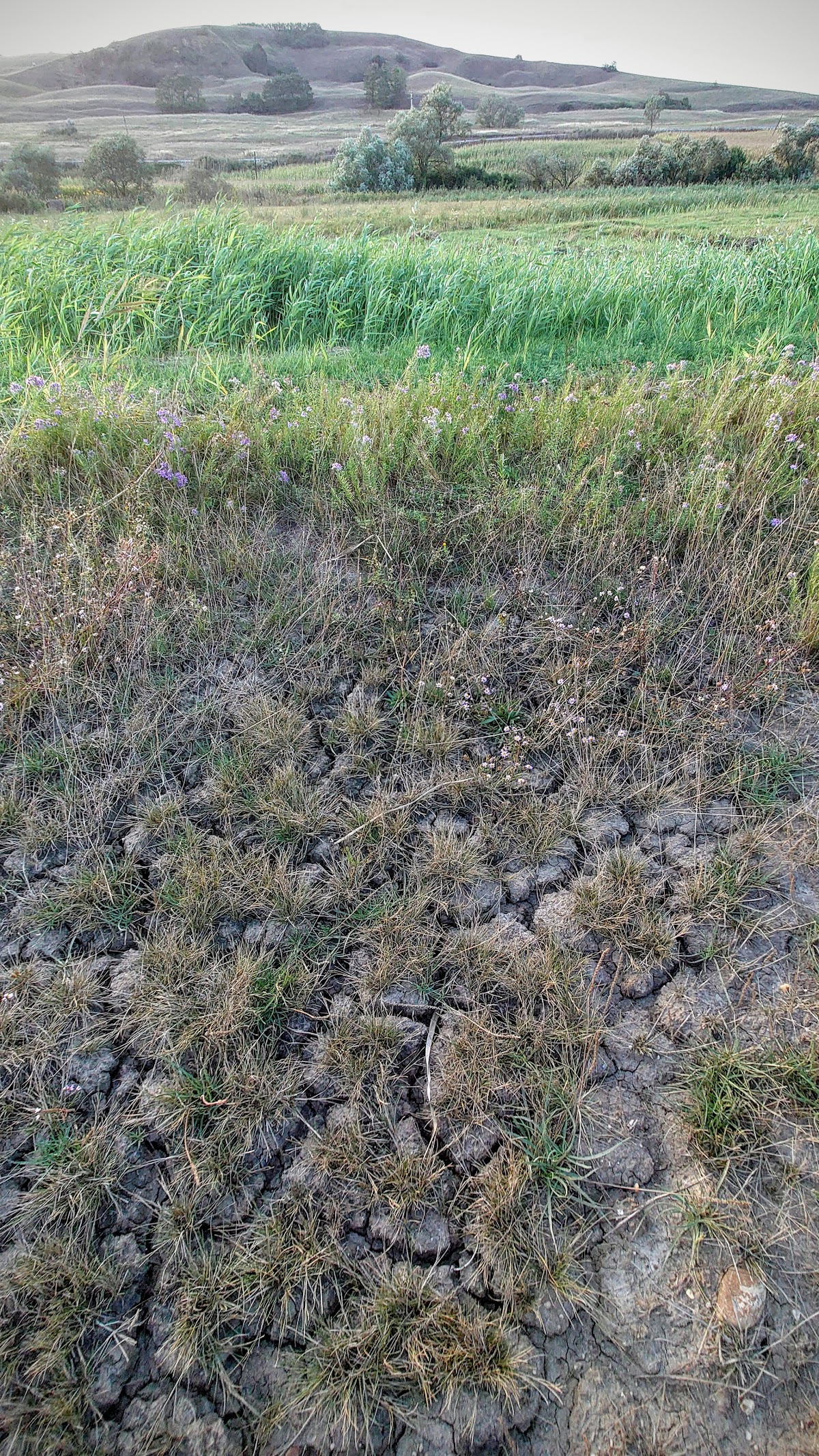 Canyon Hasag - foto 4