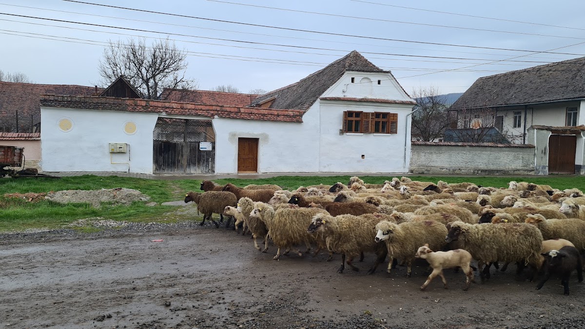 Haus Rether - Erdélyi Vendégház Bunești-ben