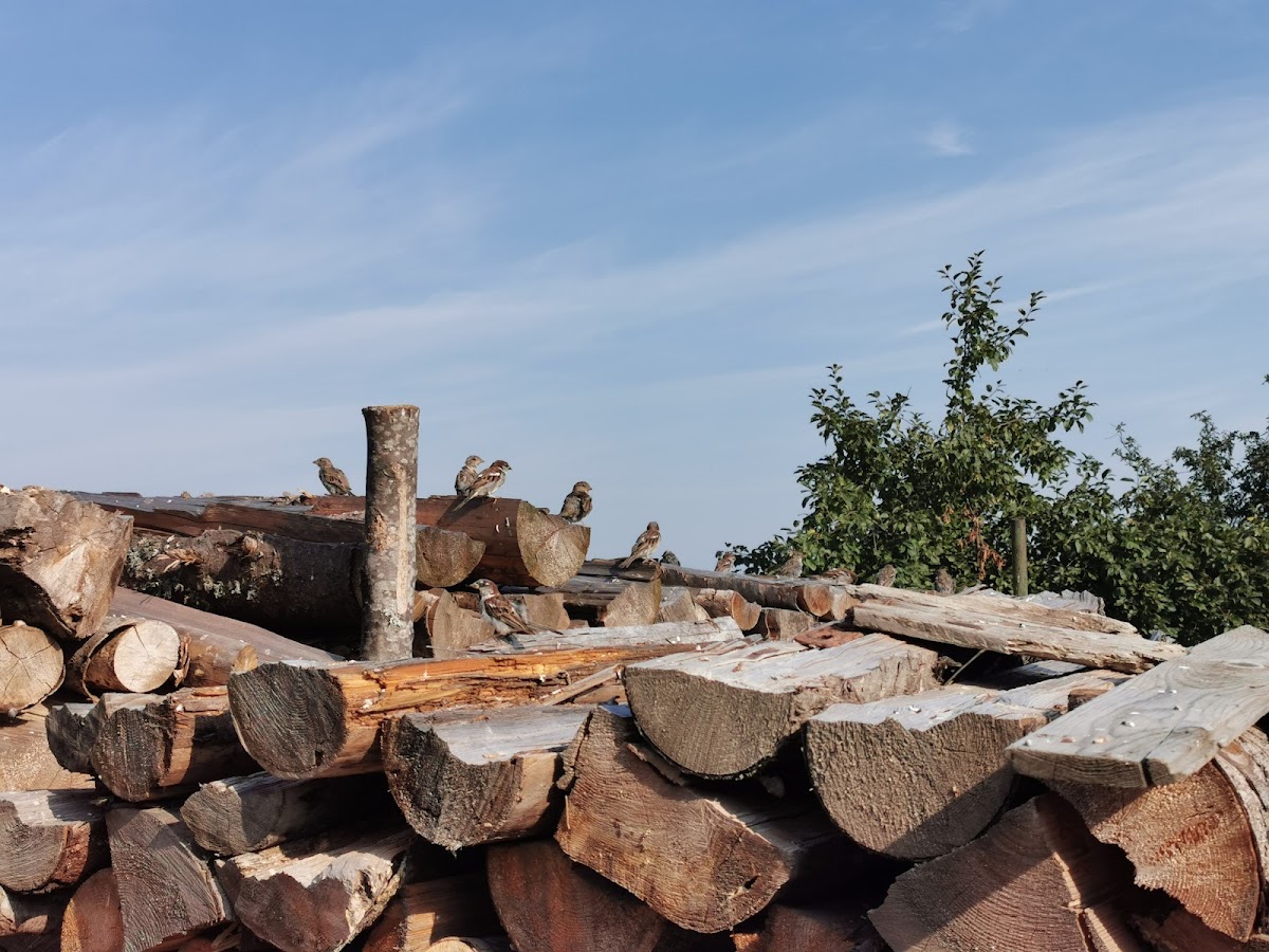 Helló Vendégház - foto 5