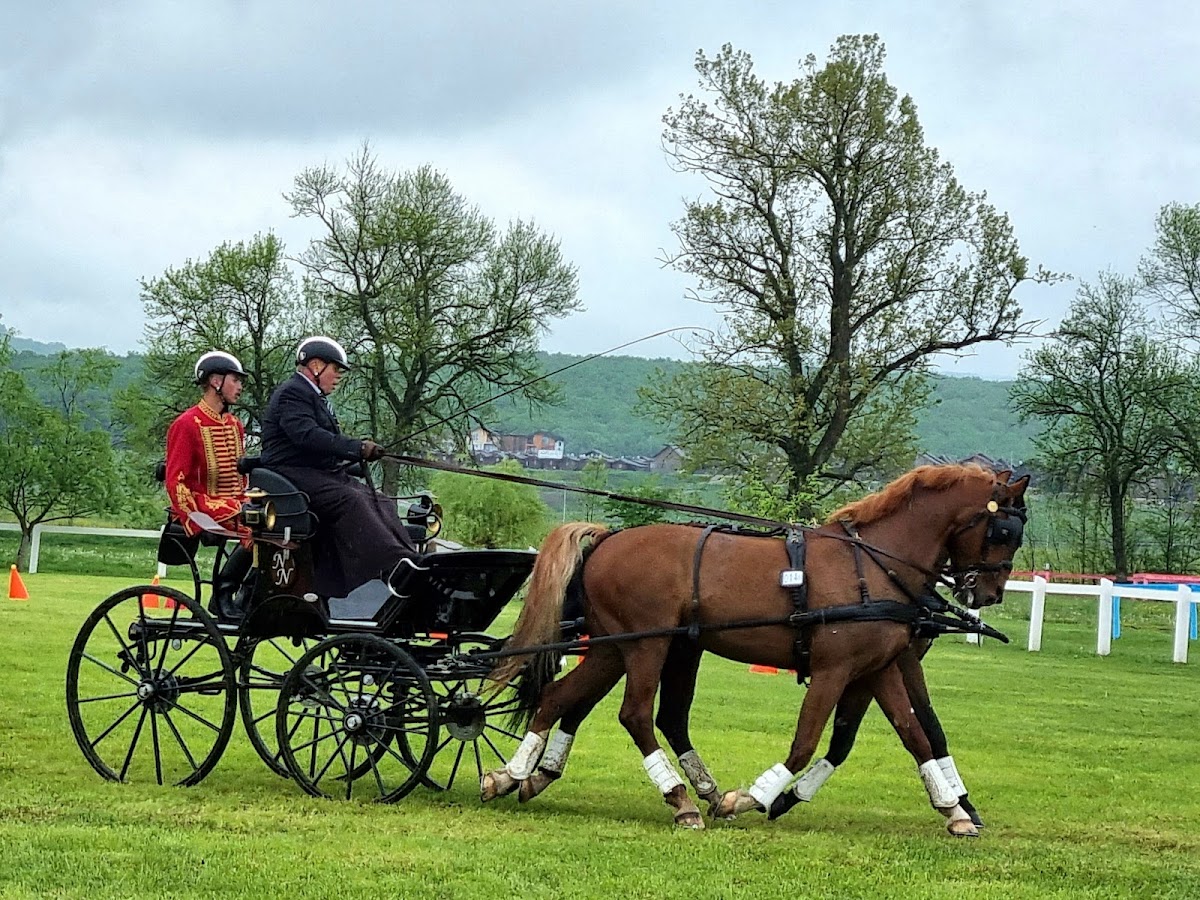 Herghelia Beclean - foto 2