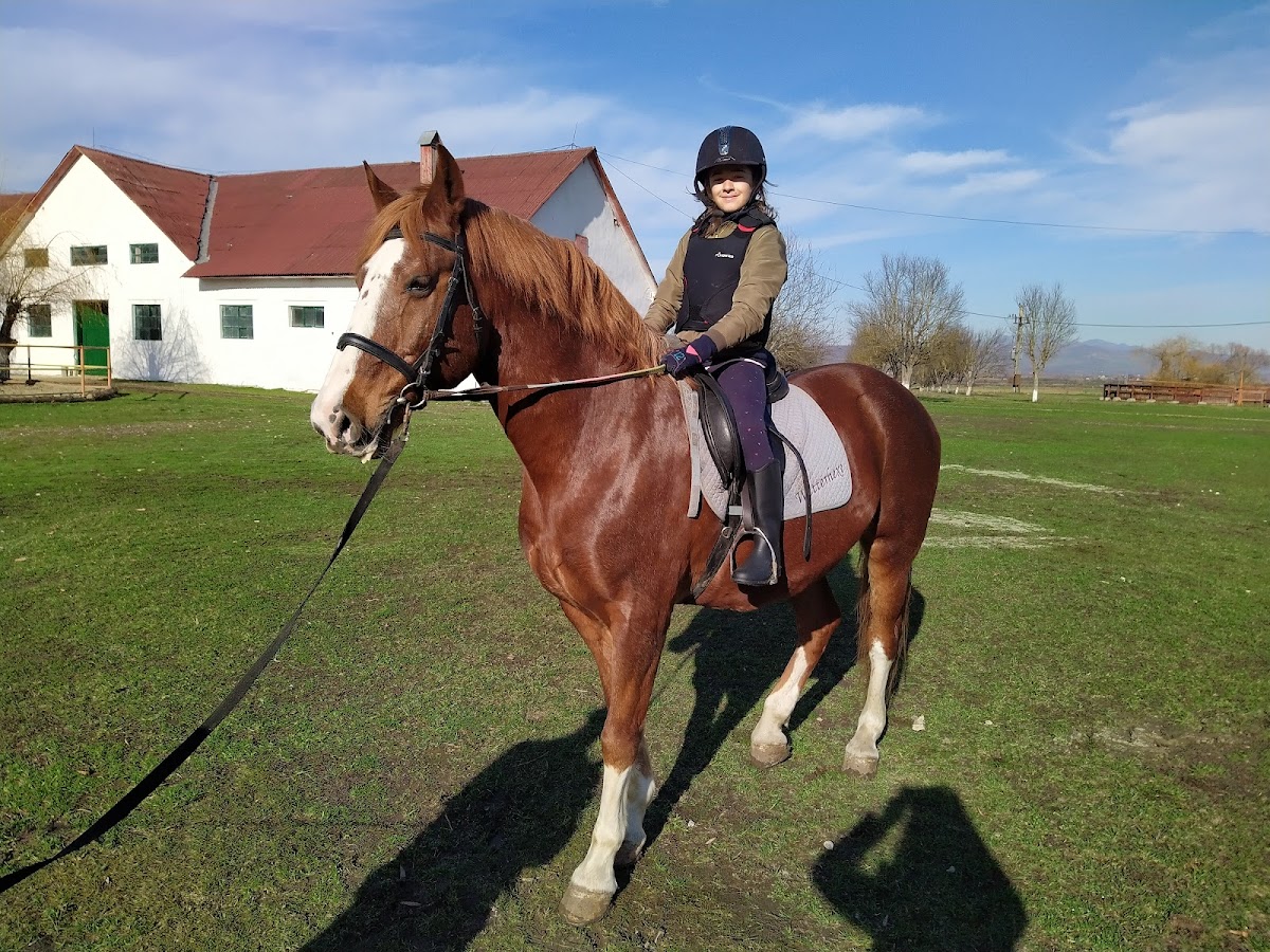 Herghelia Beclean - foto 4