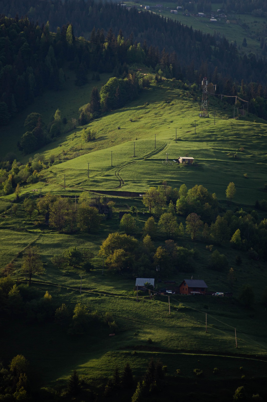 Hilltop