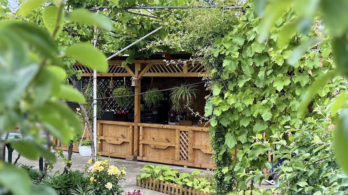 Home and Garden - Pension, Hotel & Camping - foto 1