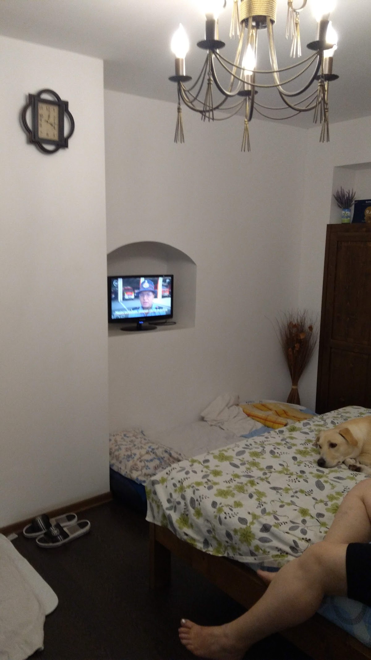 Homestay Marius