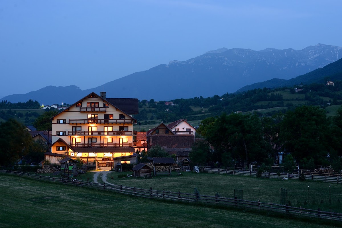 Hora cu Brazi - foto 4