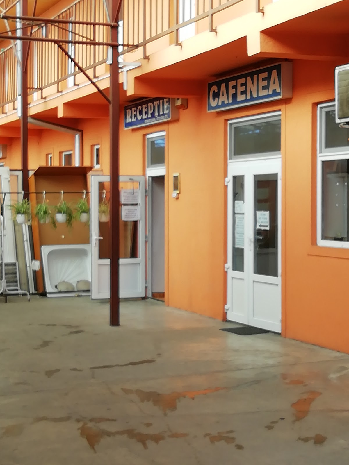 Hostel Maria