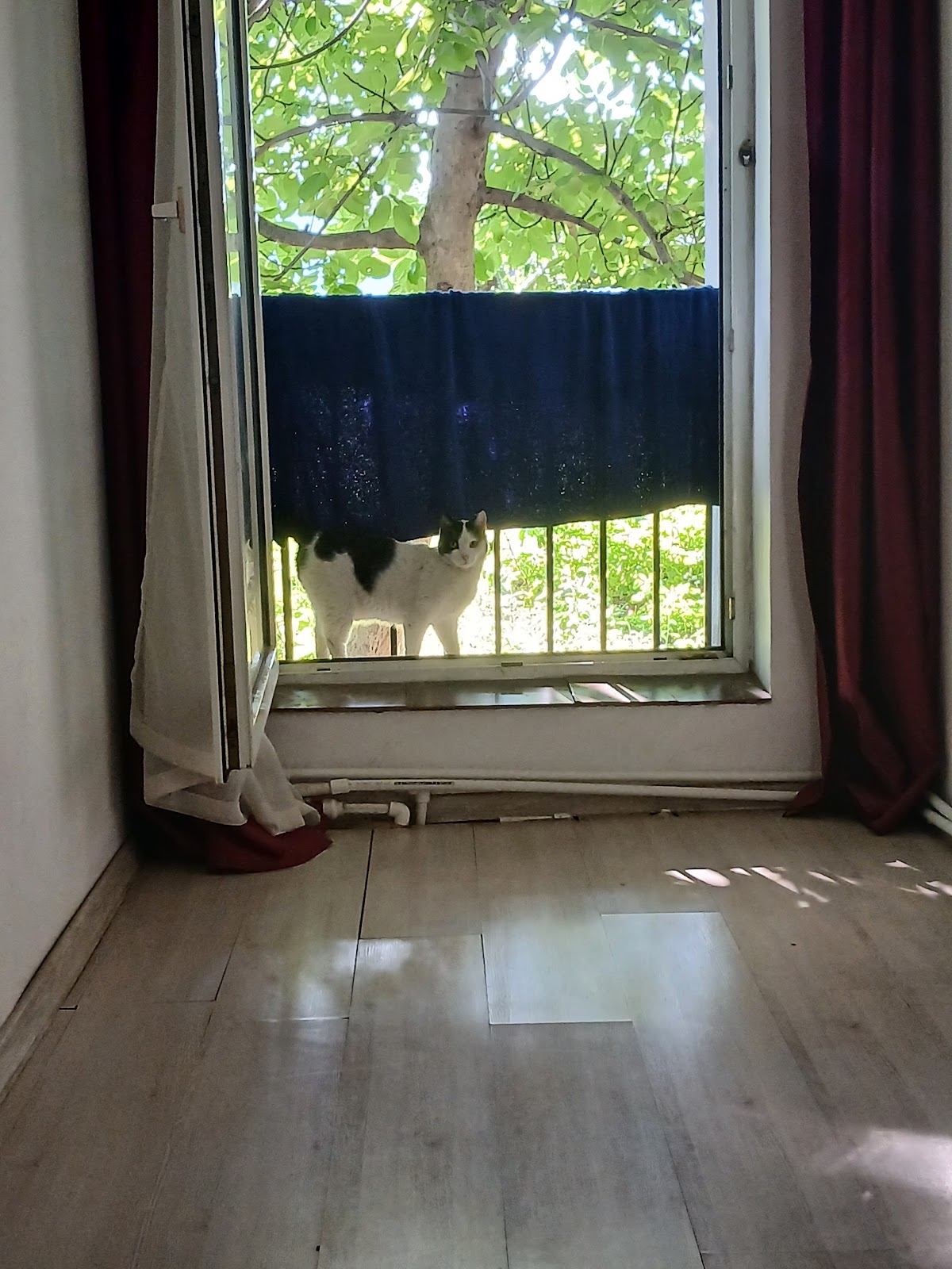 Hostel Mialma