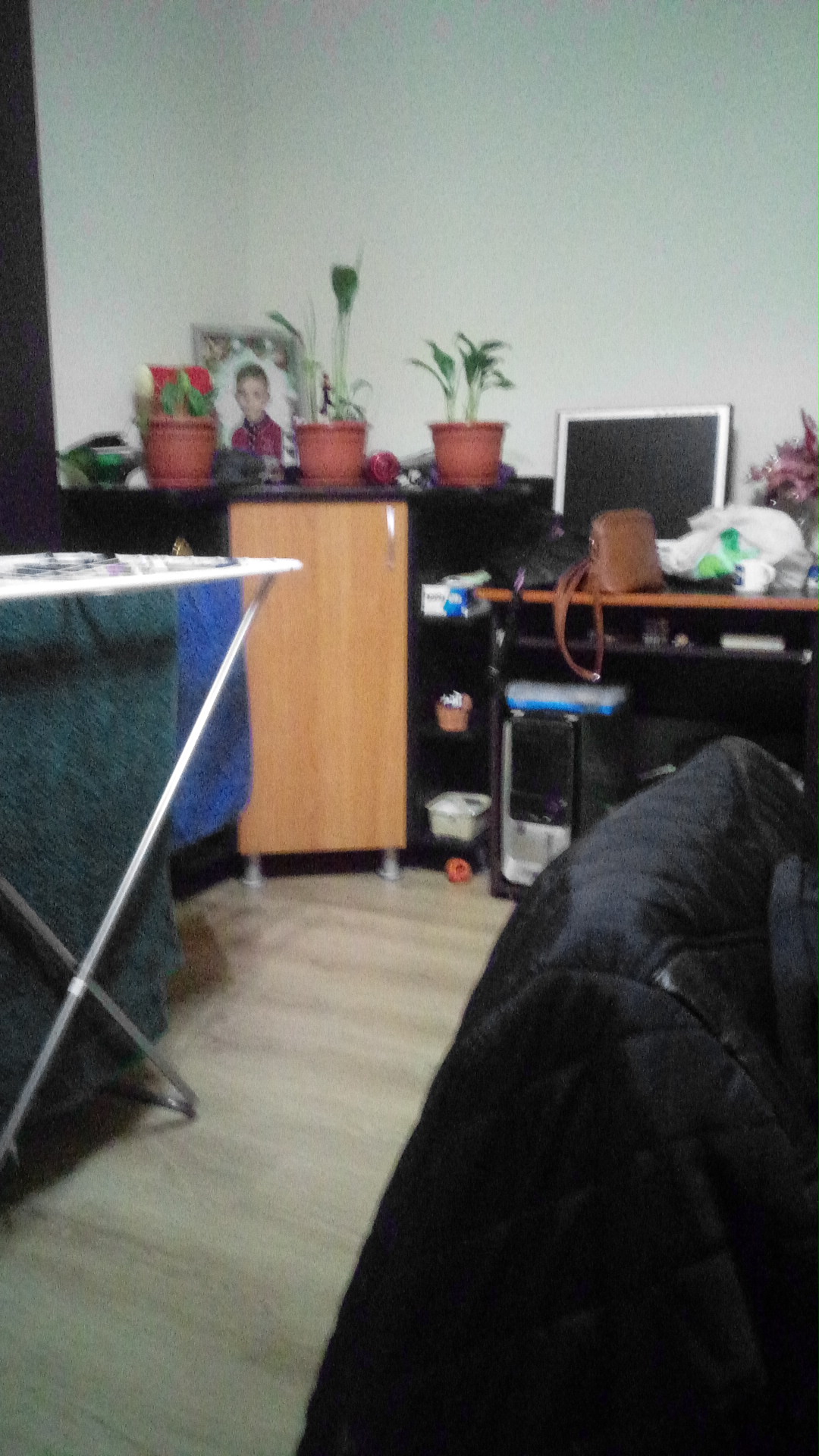 Hostel Misian Mura
