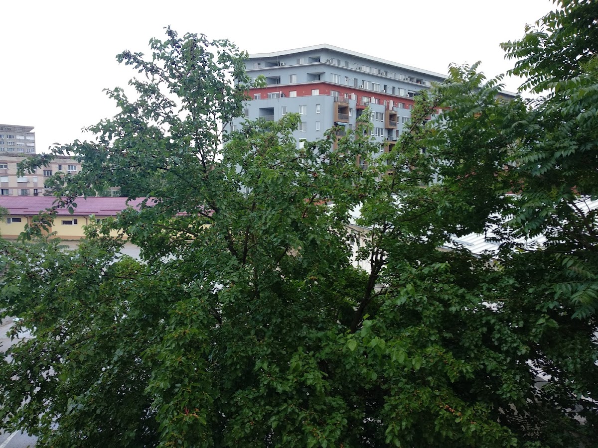 Hostel Moara cu Noroc