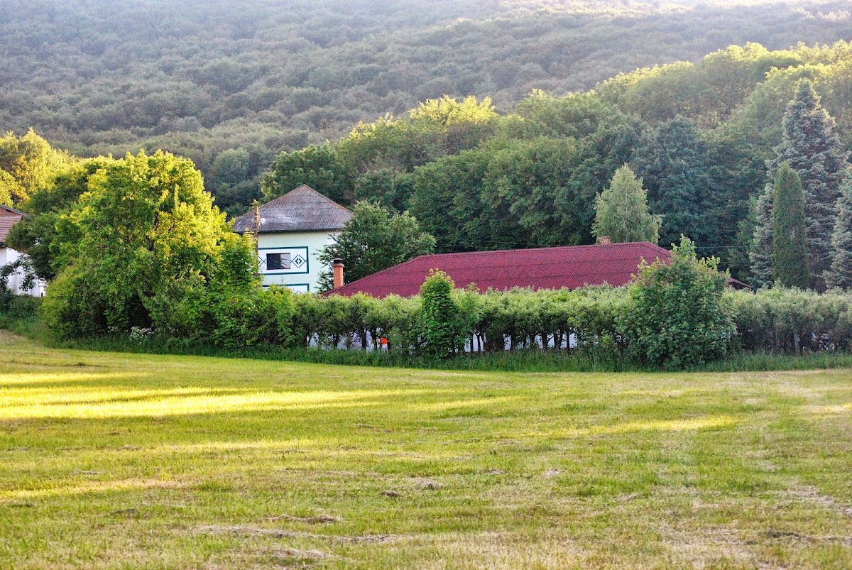 Hotel Activ Parc Negresti