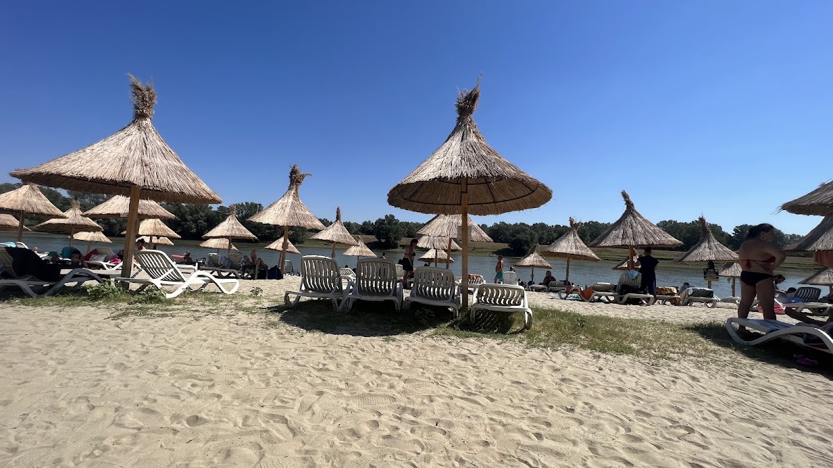 阿尔巴特罗斯酒店 - foto 1