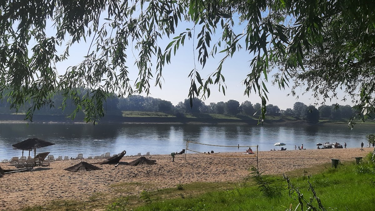 阿尔巴特罗斯酒店 - foto 3