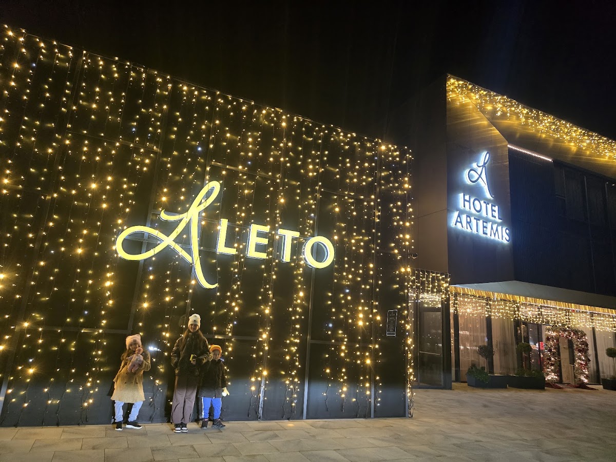 Hotel Artemis, Oradea