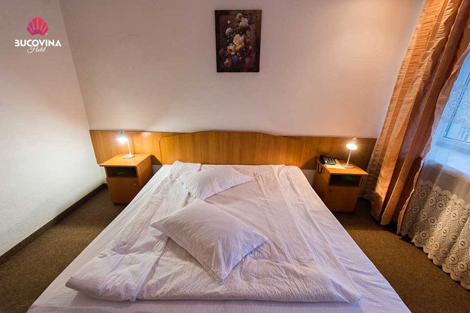 Hotel Bucovina