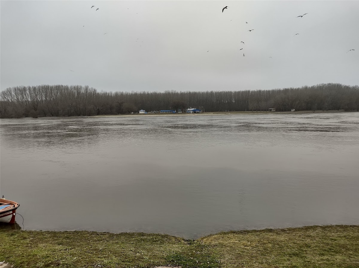 Hotel Călărași - foto 5