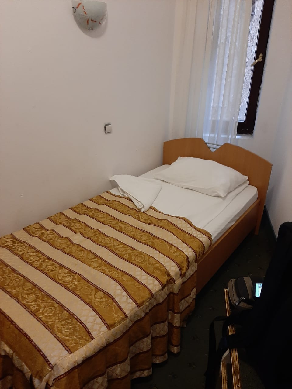 Hotel Carpați