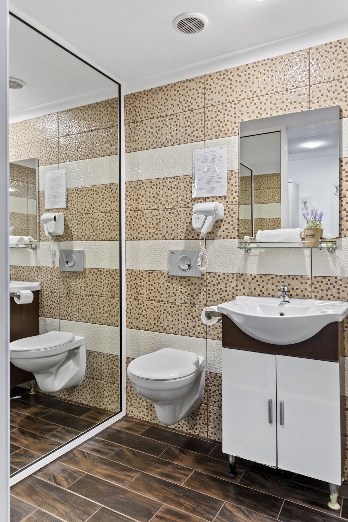Hotel Charter Otopeni