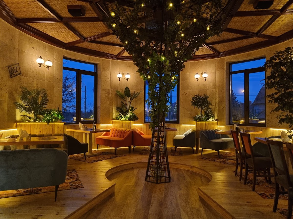 Hotel Coandi