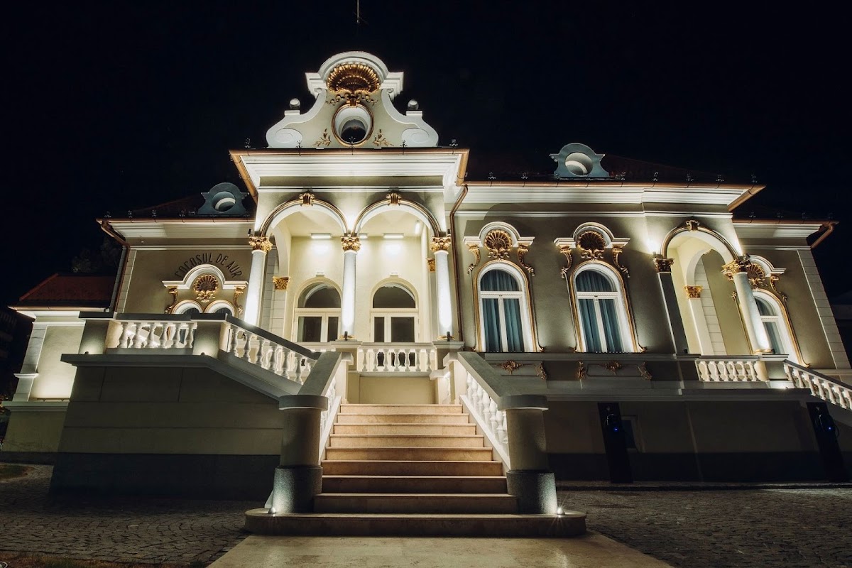 Hotel Cocosul de Aur, Târgu Mureş