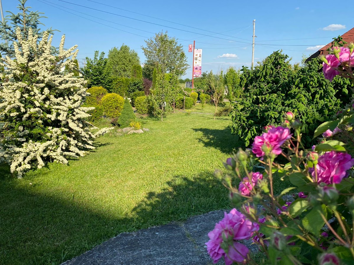 Hotel Coral - foto 5