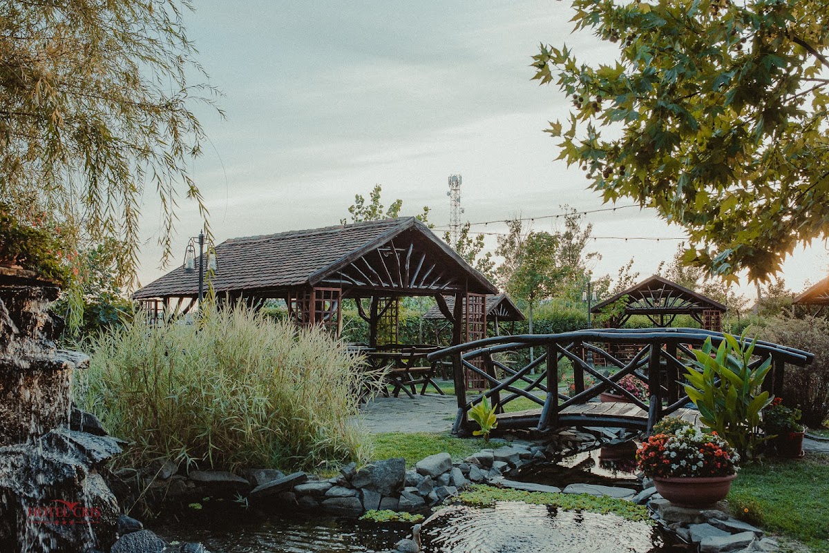 Hotel Criș - foto 3