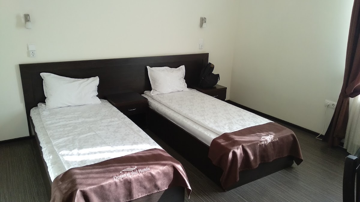 Hotel Dușan și fiul - foto 2