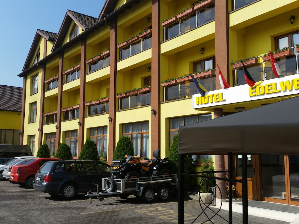 艾德尔维斯酒店 - foto 3