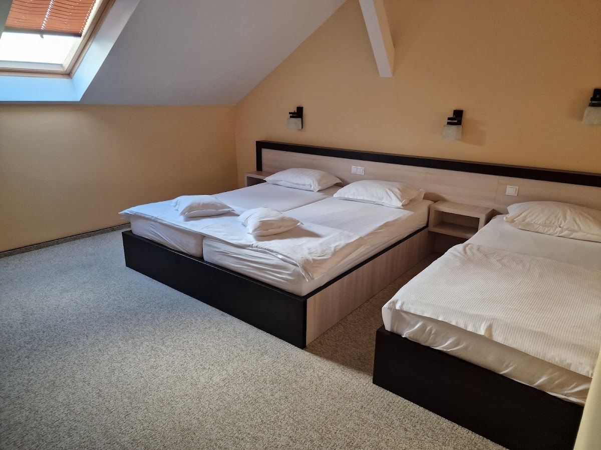 艾德尔维斯酒店 - foto 4