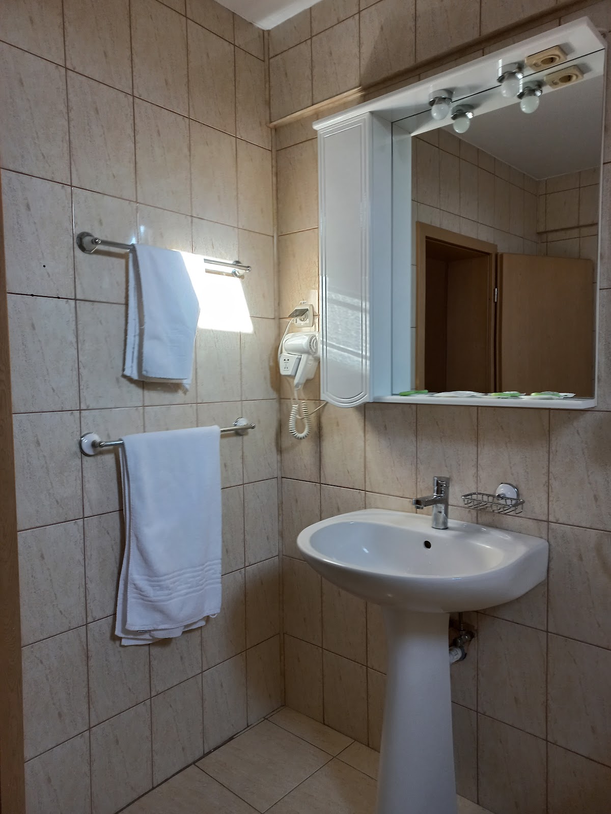 艾德尔维斯酒店 - foto 5