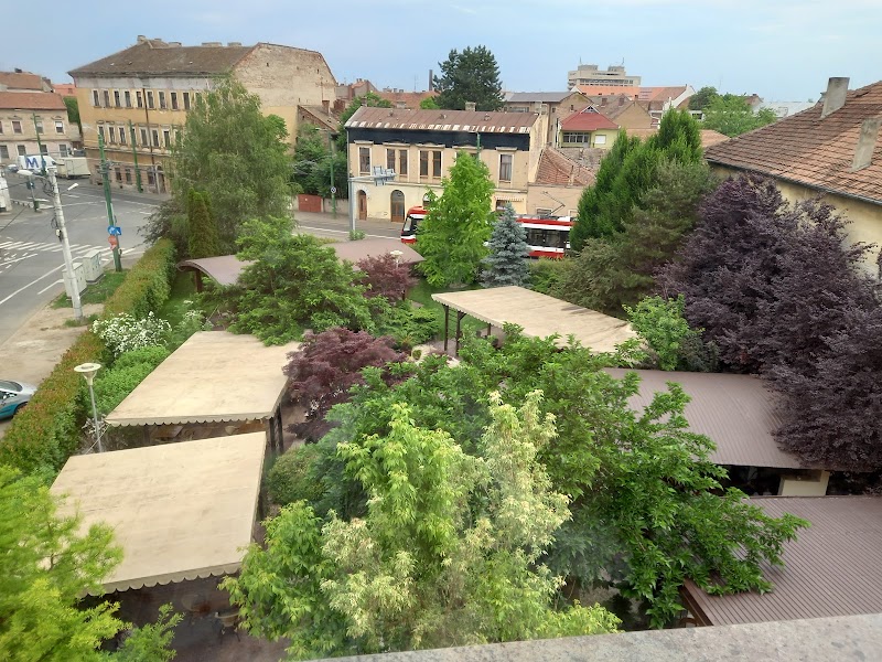 Hotel Gio Arad