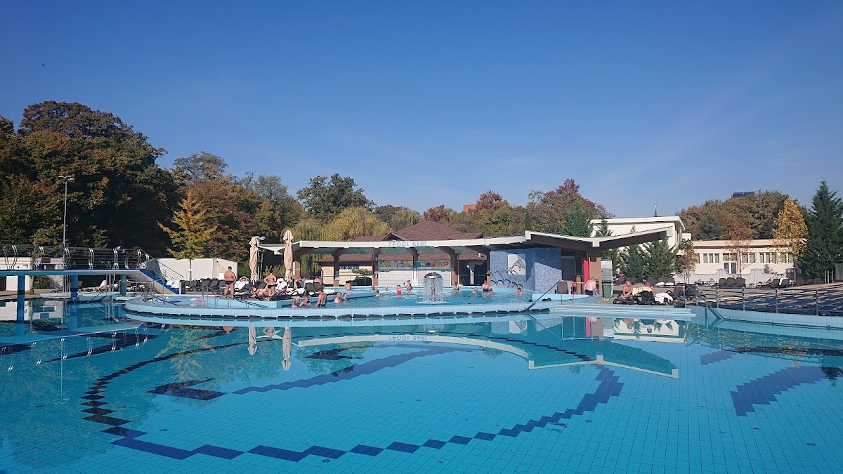 Hotel Internațional (Băile Felix)