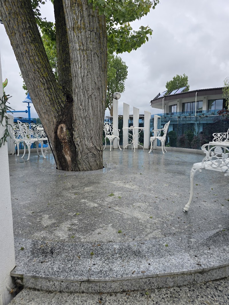 Hotel Lebăda, Amara