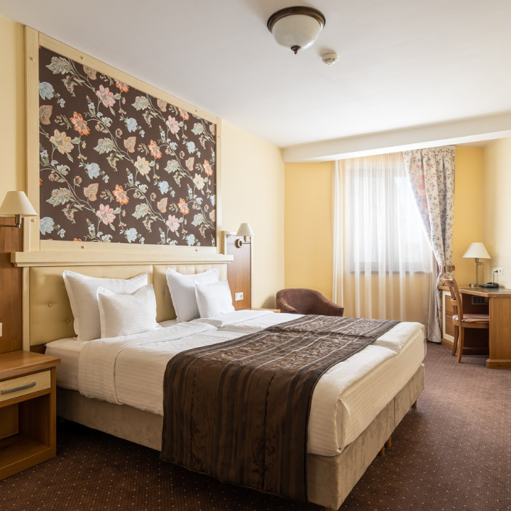 Hotel Leul de Aur Cazare Sebes - foto 2