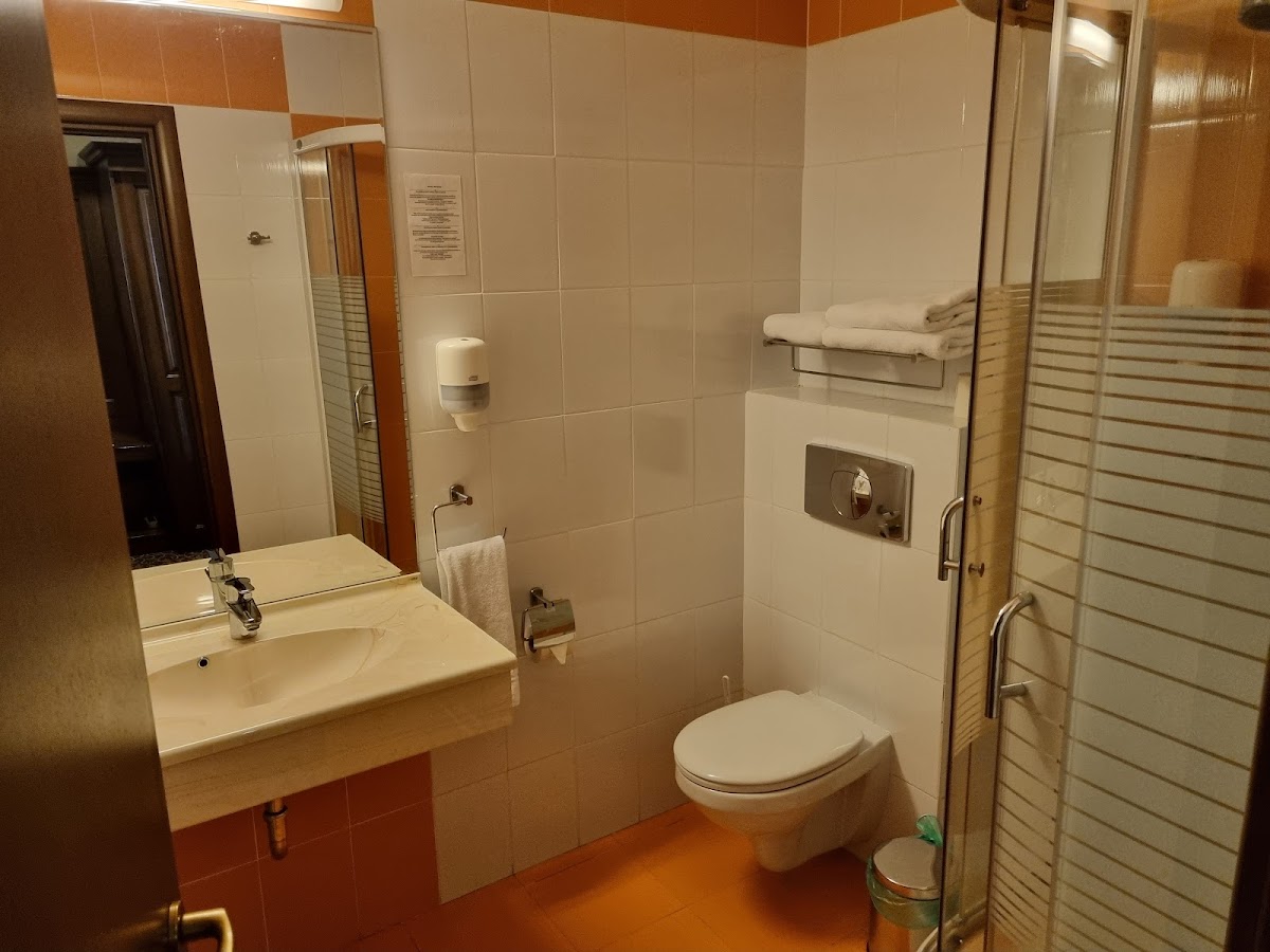 Hotel Leul de Aur Cazare Sebes - foto 4