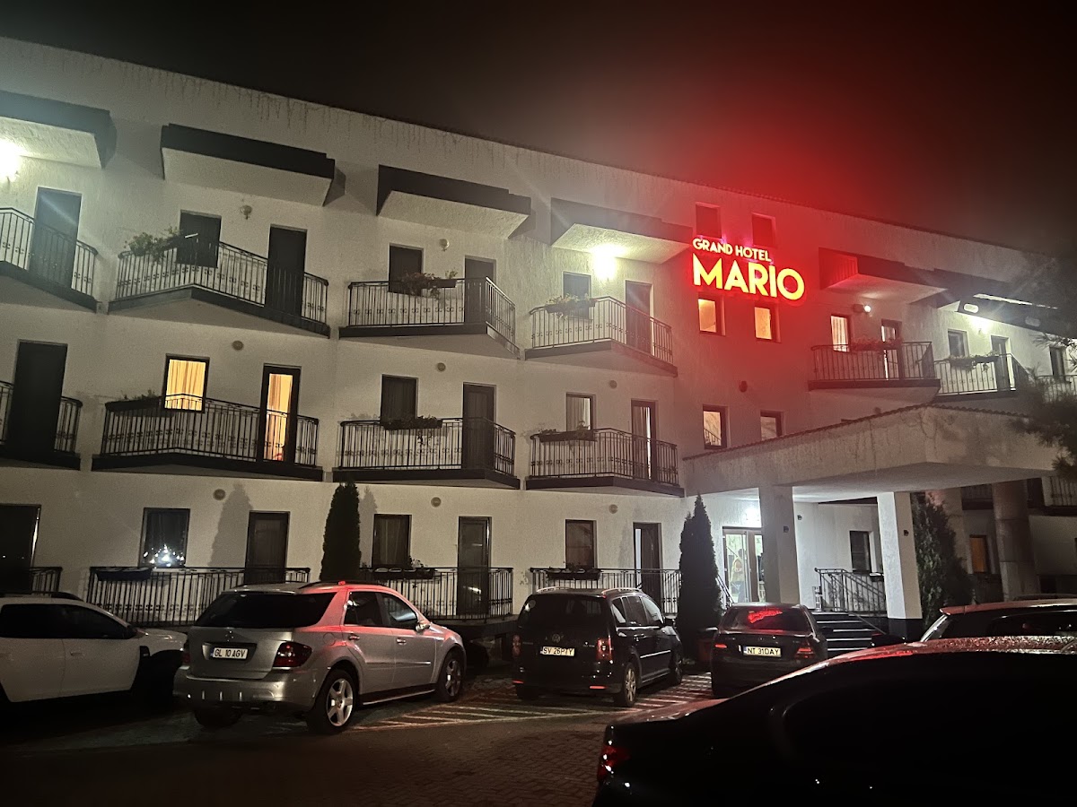 Hotel Mario Moinesti - foto 3