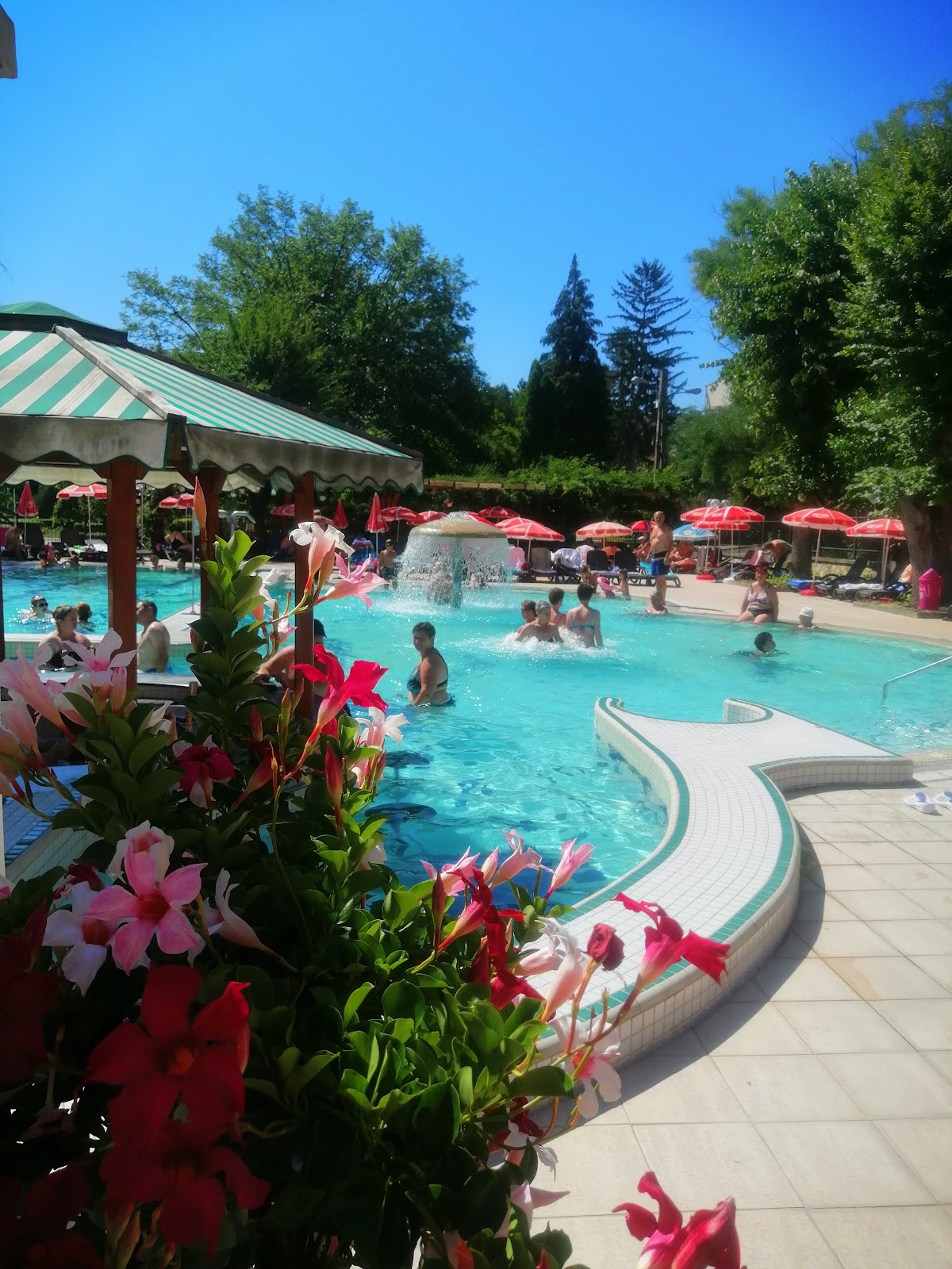 HOTEL NUFARUL