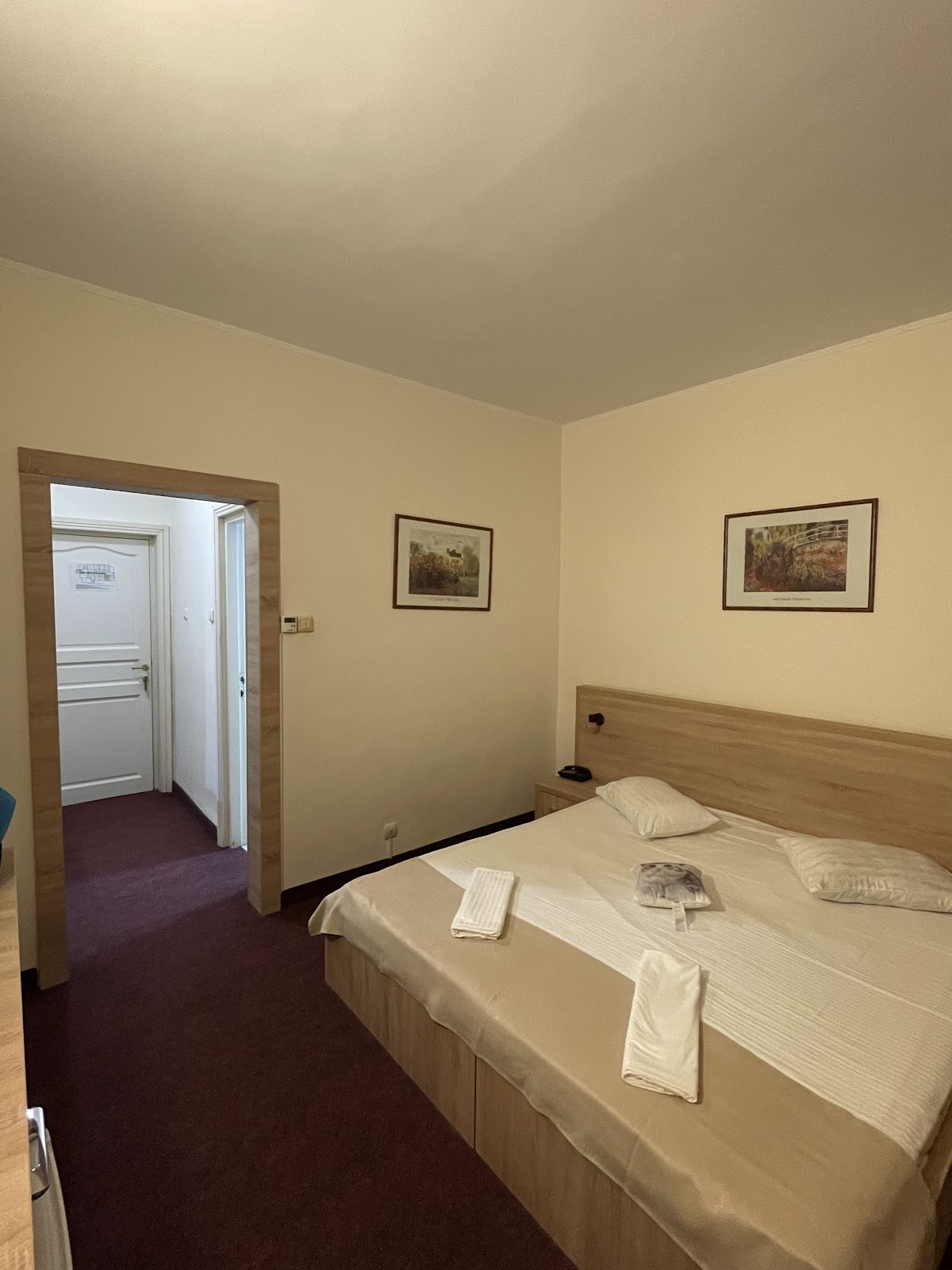 Hotel Panoramic