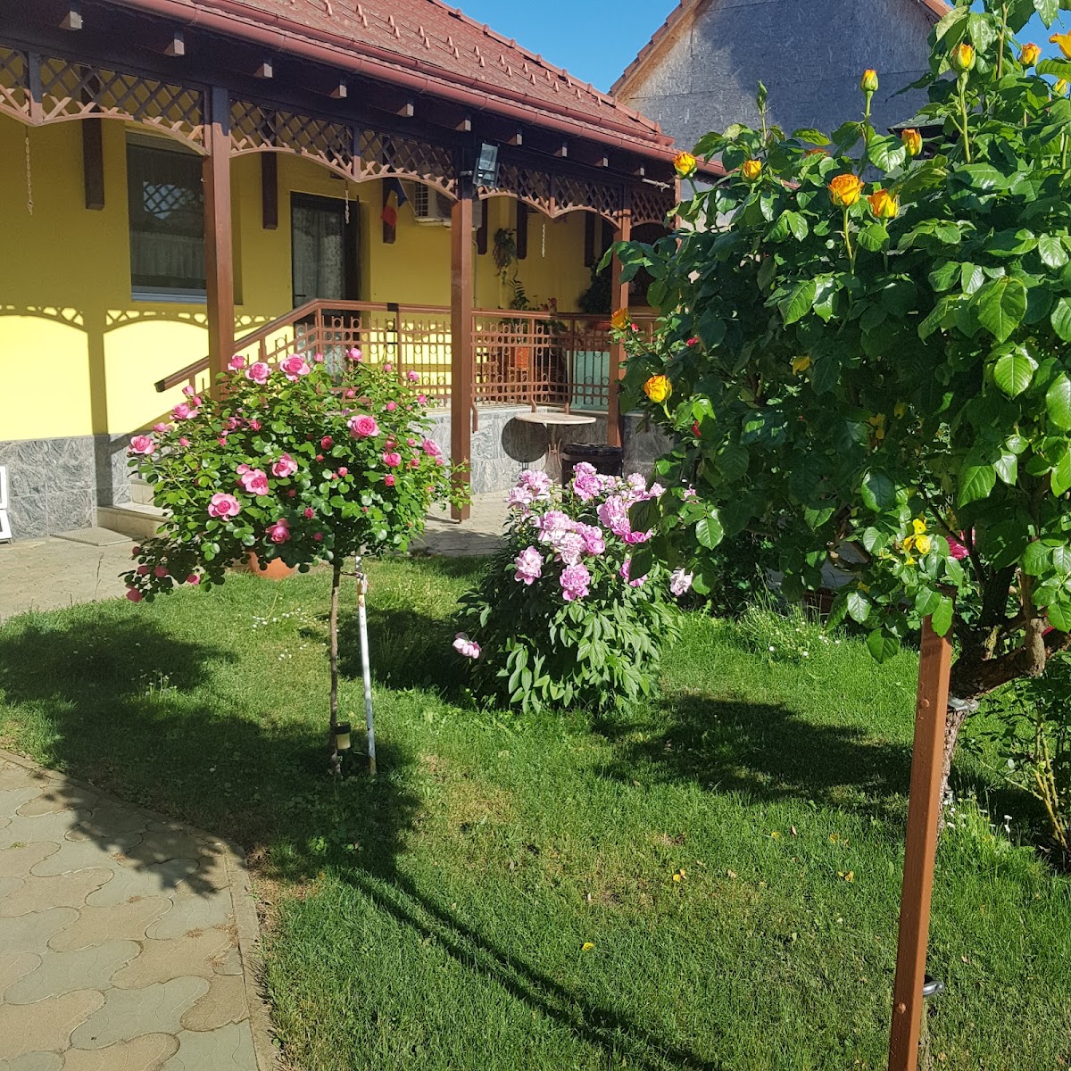 Hotel Queen, Arad