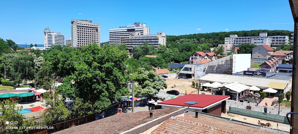 Ami Hotel Étterem, Băile Felix