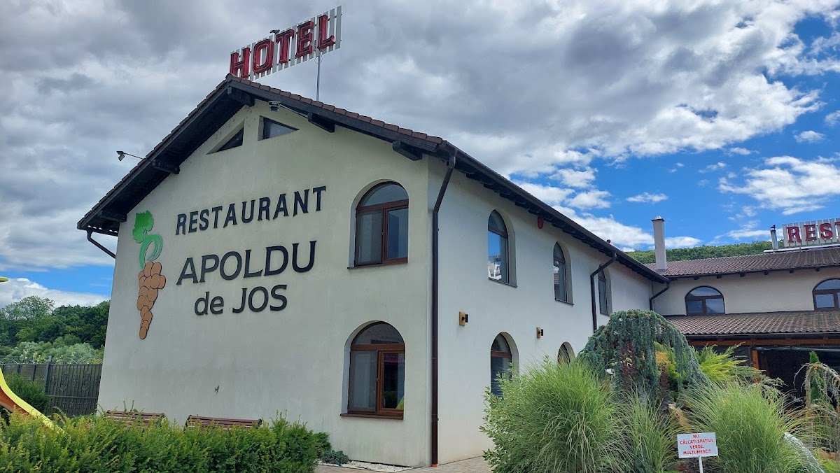 阿波尔杜酒店餐厅 - foto 5